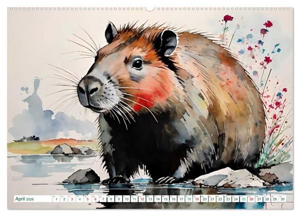 Produktbild: Das Capybara (Wandkalender 2026 DIN A2 quer), CALVENDO Monatskalender