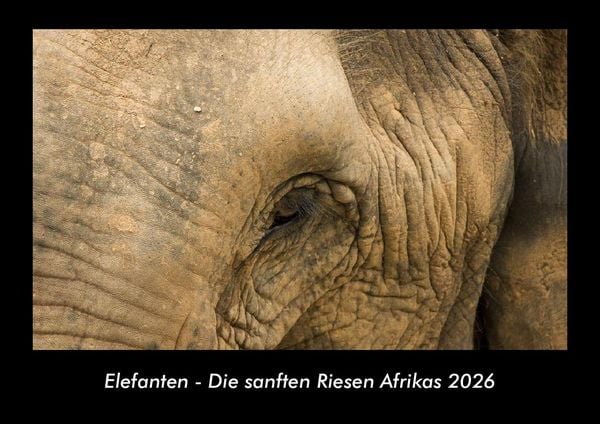 Elefanten - Die sanften Riesen Afrikas 2026 Fotokalender DIN A3