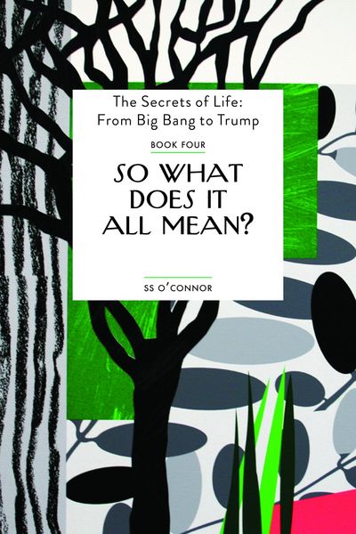 Produktbild: So What Does It All Mean?