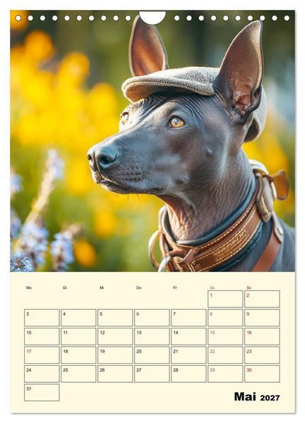 Produktbild: Xolos. Seelenhunde aus Mexiko (Wandkalender 2027 DIN A4 hoch), CALVENDO Monatskalender