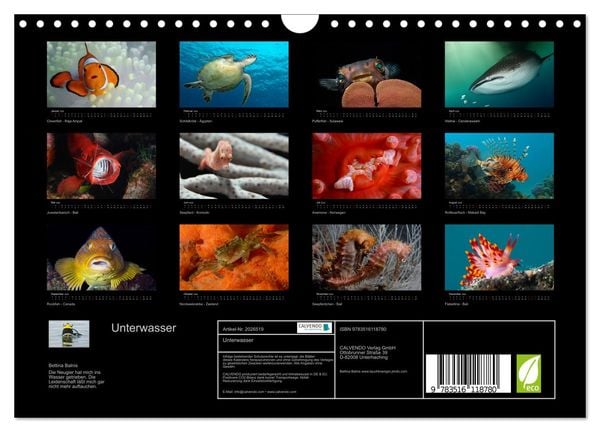 Produktbild: Unterwasser (Wandkalender 2026 DIN A4 quer), CALVENDO Monatskalender