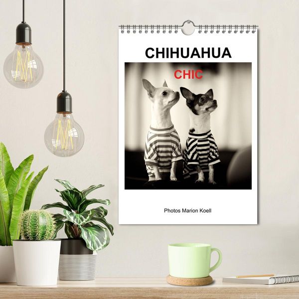 Produktbild: CHIHUAHUA CHIC Photos Marion Koell (Wandkalender 2026 DIN A4 hoch), CALVENDO Monatskalender