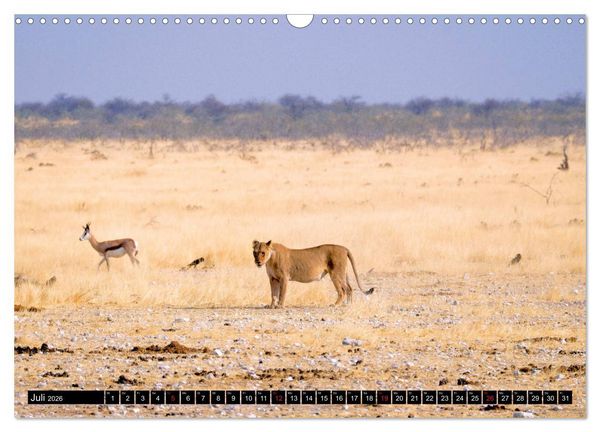 Produktbild: S&uuml;dliches Afrika - Vom Kap bis zu den Victoria F&auml;llen (Wandkalender 2026 DIN A3 quer), CALVENDO Monatskalender