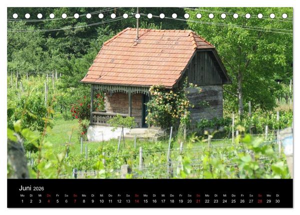 Produktbild: Weinidylle im S&uuml;dburgenland (Tischkalender 2026 DIN A5 quer), CALVENDO Monatskalender