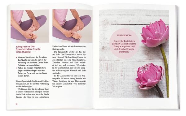 Produktbild: Das Fu&szlig;Heilbuch