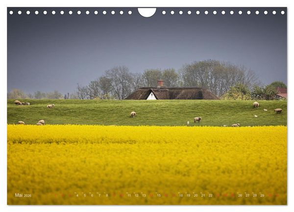 Produktbild: Wundersch&ouml;nes Eiderstedt (Wandkalender 2026 DIN A4 quer), CALVENDO Monatskalender