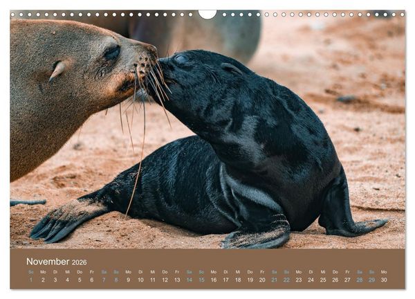 Produktbild: Wildes Leben - Ein Streifzug auf Zehenspitzen (Wandkalender 2026 DIN A3 quer), CALVENDO Monatskalender
