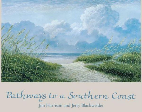 Produktbild: Pathways to a Southern Coast