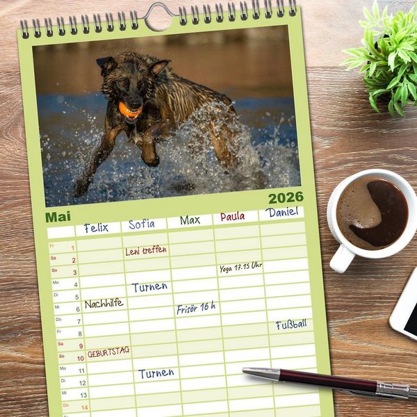 Produktbild: Familienplaner 2026 - Belgischer Sch&auml;ferhund - Der Malinois in Action mit 5 Spalten (Wandkalender, 21 x 45 cm) CALVENDO