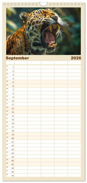 Produktbild: Familienplaner 2026 - Ansteckend m&uuml;de! mit 5 Spalten (Wandkalender, 21 x 45 cm) CALVENDO