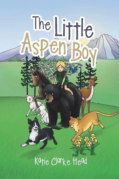 Produktbild: The Little Aspen Boy