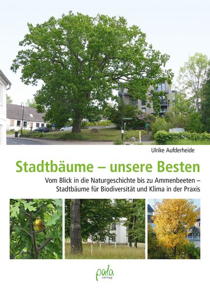Produktbild: Stadtb&auml;ume &ndash; unsere Besten