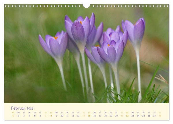 Produktbild: Naturwunder Bl&uuml;ten (Wandkalender 2026 DIN A3 quer), CALVENDO Monatskalender