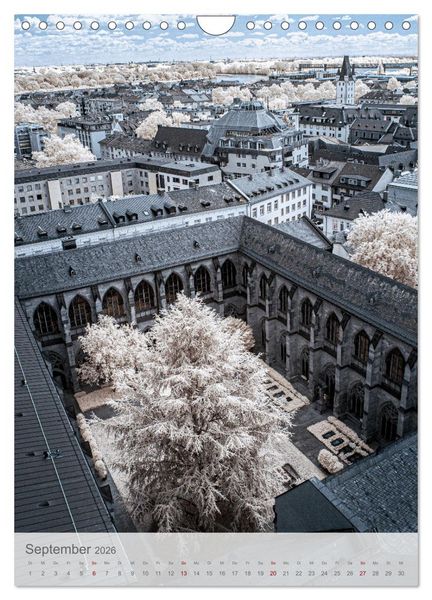 Produktbild: MAINZ IN INFRAROT (Wandkalender 2026 DIN A4 hoch), CALVENDO Monatskalender