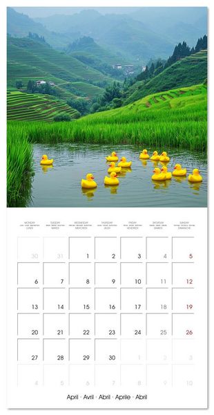 Produktbild: Yellow Travelers (Wall Calendar 2026 12 &times; 12 Inch) CALVENDO 12 Month Wall Calendar