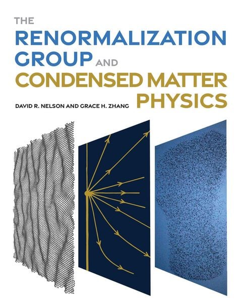 Produktbild: The Renormalization Group and Condensed Matter Physics