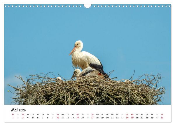 Produktbild: Fotogenes Nordhessen (Wandkalender 2026 DIN A3 quer), CALVENDO Monatskalender