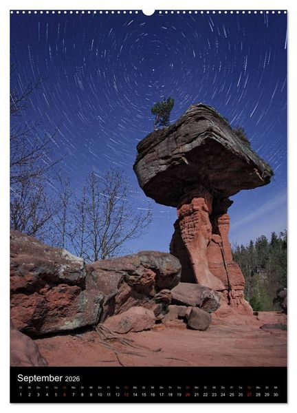 Produktbild: NATURWUNDER PF&Auml;LZERWALD (Wandkalender 2026 DIN A2 hoch), CALVENDO Monatskalender