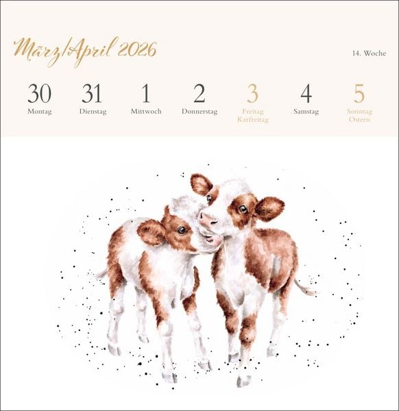 Produktbild: Hannah Dale: Happy Animals Premium-Postkartenkalender 2026