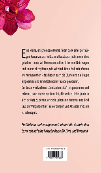 Produktbild: Dualseelenreise