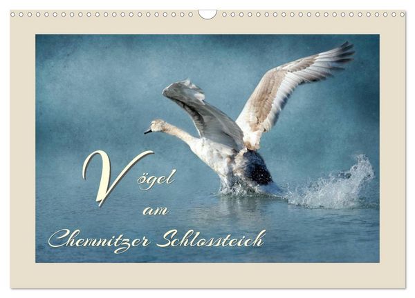 Produktbild: V&ouml;gel am Chemnitzer Schlossteich (Wandkalender 2026 DIN A3 quer), CALVENDO Monatskalender