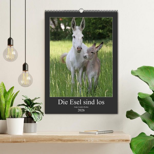 Produktbild: Die Esel sind los (Wandkalender 2026 DIN A2 hoch), CALVENDO Monatskalender