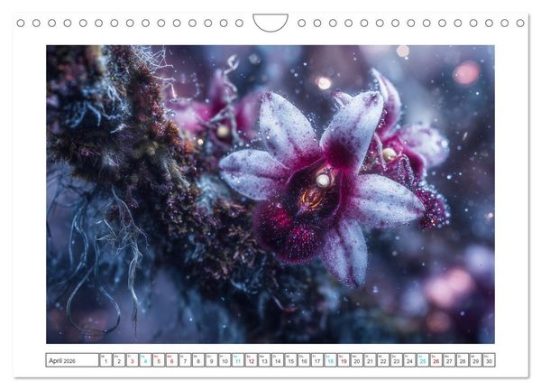 Produktbild: Zwischen Natur und Kunst (Wandkalender 2026 DIN A4 quer), CALVENDO Monatskalender