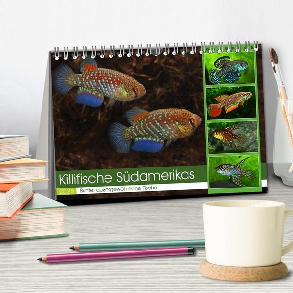 Produktbild: Killifische S&uuml;damerikas (Tischkalender 2026 DIN A5 quer), CALVENDO Monatskalender