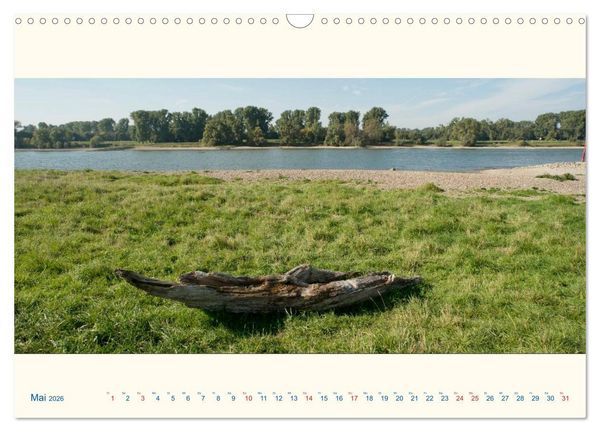 Produktbild: Am Rhein - Urdenbacher K&auml;mpe (Wandkalender 2026 DIN A3 quer), CALVENDO Monatskalender
