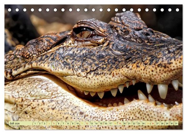 Produktbild: Urzeitreptilien - Krokodil (Tischkalender 2026 DIN A5 quer), CALVENDO Monatskalender