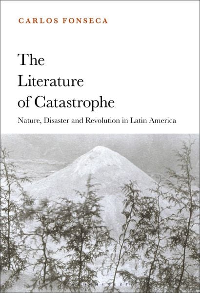 Produktbild: The Literature of Catastrophe