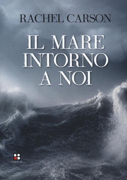 Produktbild: Il mare intorno a noi