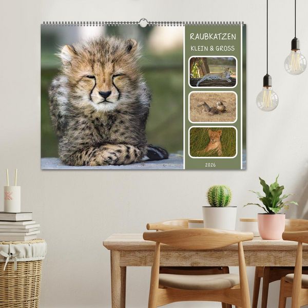 Produktbild: Raubkatzen - gro&szlig; & klein (Wandkalender 2026 DIN A2 quer), CALVENDO Monatskalender