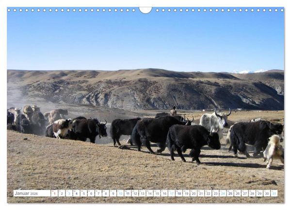 Produktbild: Tibet (Wandkalender 2026 DIN A3 quer), CALVENDO Monatskalender