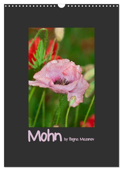 Produktbild: Mohn (Wandkalender 2026 DIN A3 hoch), CALVENDO Monatskalender