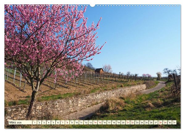 Produktbild: Bensheim a. d. Bergstra&szlig;e - Ein Stadtspaziergang (hochwertiger Premium Wandkalender 2026 DIN A2 quer), Kunstdruck in Hochglanz