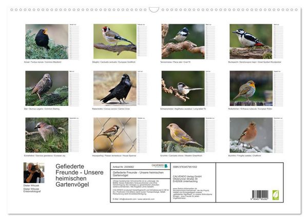 Produktbild: Gefiederte Freunde - Unsere heimischen Gartenv&ouml;gel (Wandkalender 2026 DIN A2 quer), CALVENDO Monatskalender