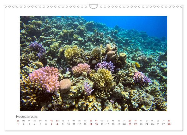 Produktbild: &Auml;gypten - unterwegs mit Julia Hahn (Wandkalender 2026 DIN A3 quer), CALVENDO Monatskalender