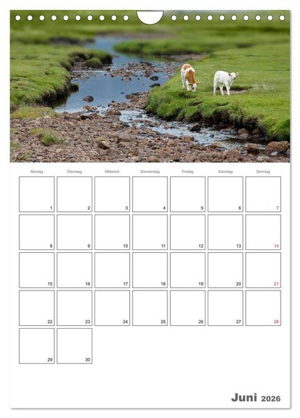 Produktbild: Schottland f&uuml;r Naturliebhaber (Wandkalender 2026 DIN A4 hoch), CALVENDO Monatskalender
