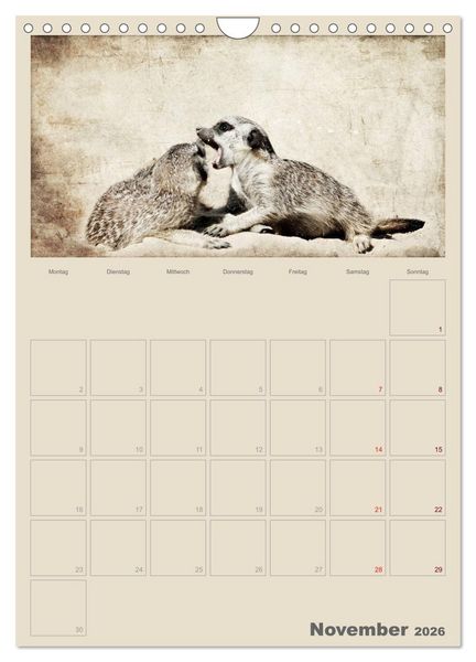 Produktbild: Lustige Erdm&auml;nnchen (Wandkalender 2026 DIN A4 hoch), CALVENDO Monatskalender