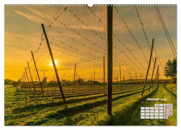 Produktbild: Hopfenland Holledau (hochwertiger Premium Wandkalender 2026 DIN A2 quer), Kunstdruck in Hochglanz