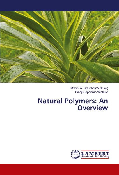 Produktbild: Natural Polymers: An Overview