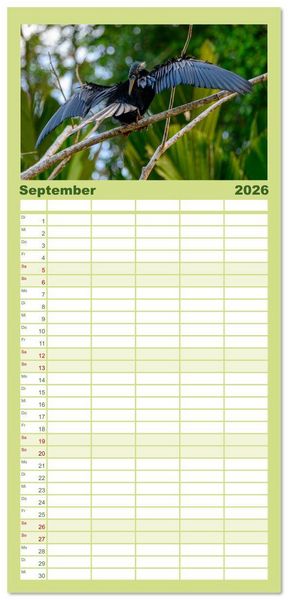Produktbild: Familienplaner 2026 - Costa Rica - Naturparadies zwischen Karibik und Pazifik mit 5 Spalten (Wandkalender, 21 x 45 cm) CALVENDO
