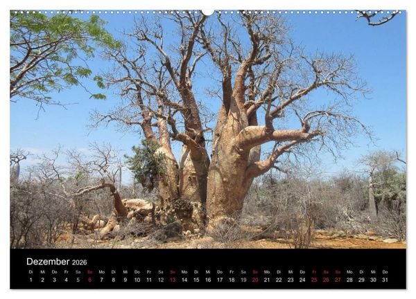 Produktbild: Abenteuer Madagaskar (hochwertiger Premium Wandkalender 2026 DIN A2 quer), Kunstdruck in Hochglanz