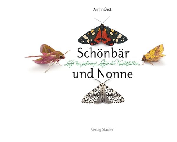 Schönbär und Nonne