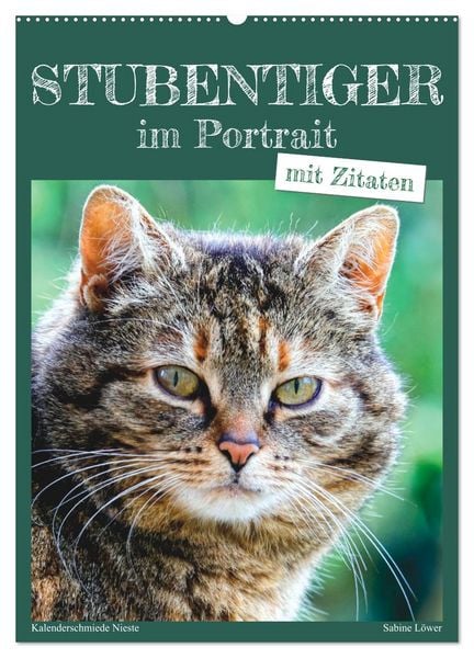 Produktbild: Stubentiger im Portrait (Wandkalender 2026 DIN A2 hoch), CALVENDO Monatskalender