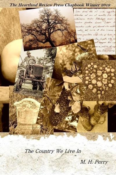 Produktbild: The Country We Live In
