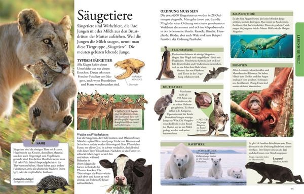 Produktbild: Wissen f&uuml;r clevere Kids