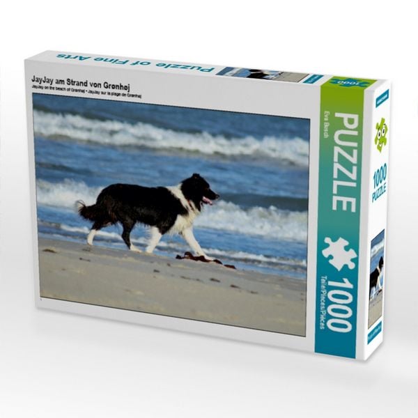CALVENDO Puzzle JayJay am Strand von Grønhøj | 1000 Teile Lege-Größe 64x48cm Foto-Puzzle für glückliche Stunden