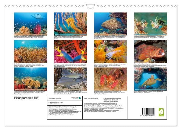 Produktbild: Fischparadies Riff (Wandkalender 2026 DIN A3 quer), CALVENDO Monatskalender